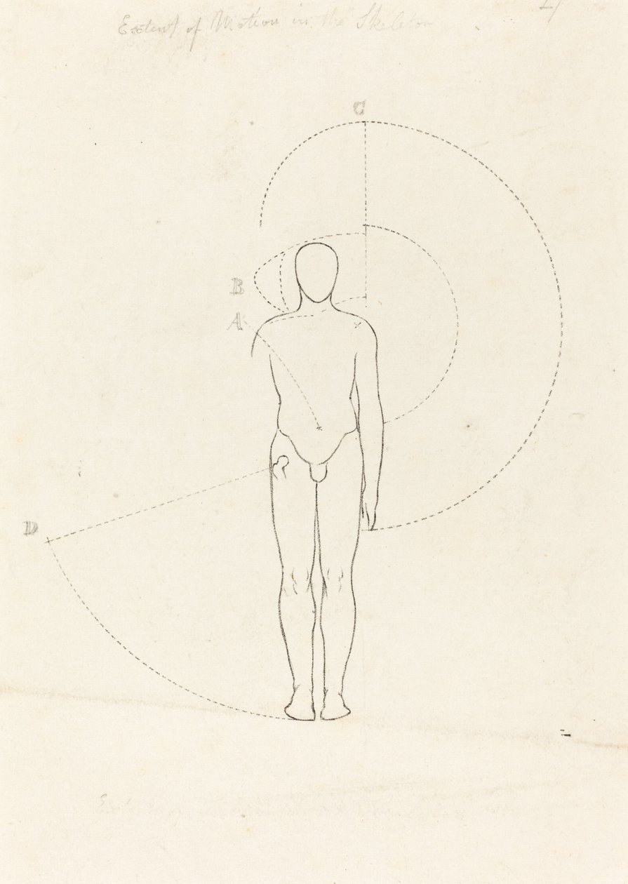 A mozgás mértéke, egy ábra alkotó: George Scharf after John Flaxman