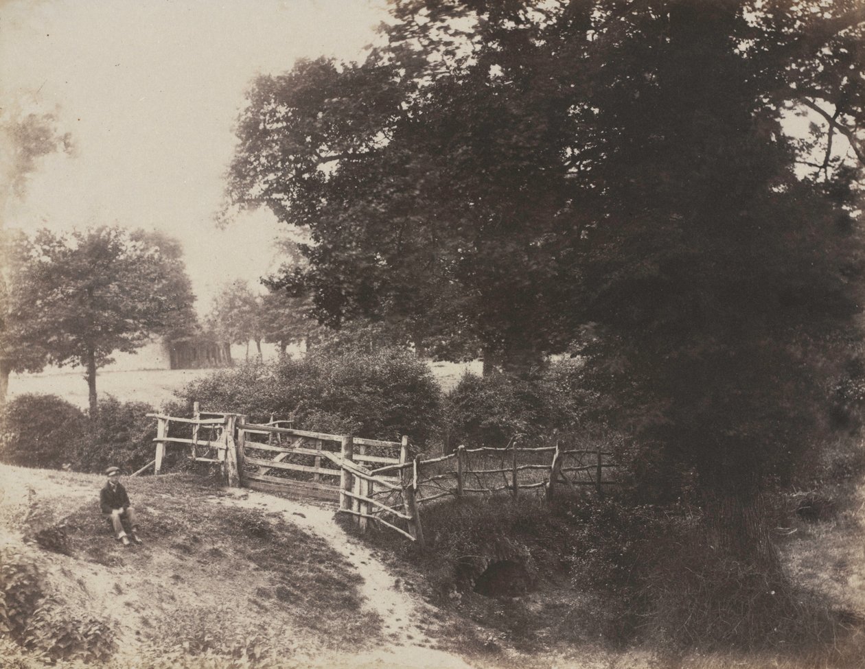 Green Meadows, 1854. alkotó: George Shadbolt