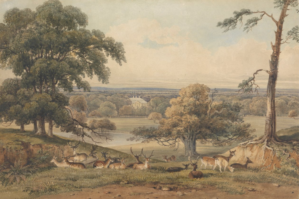 Távoli kilátás az Ampthill Parkra alkotó: George Shepherd