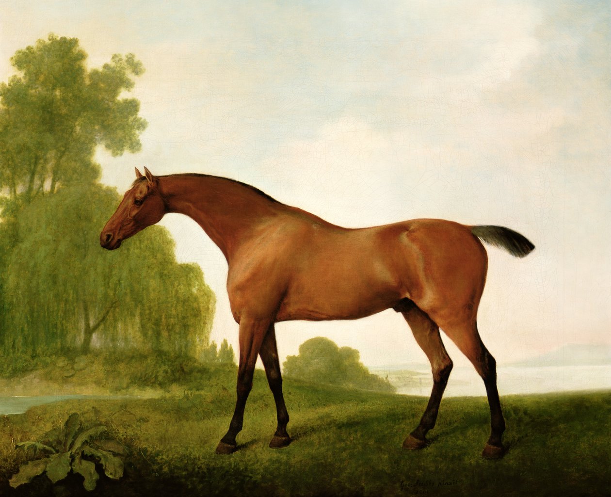Egy öböl telivér egy tájban alkotó: George Stubbs