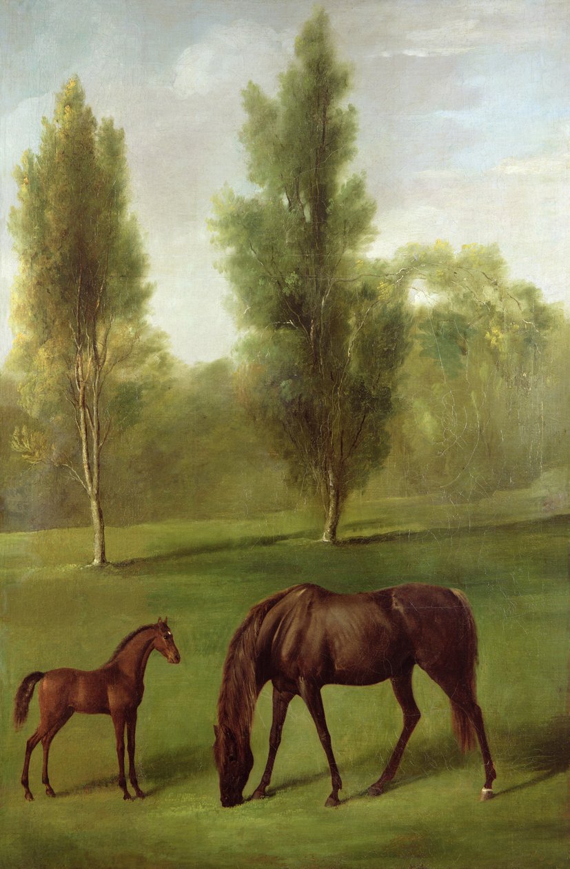 Gesztenyekanca és csikó erdős tájon, 1761-63 körül (olaj, vászon) alkotó: George Stubbs