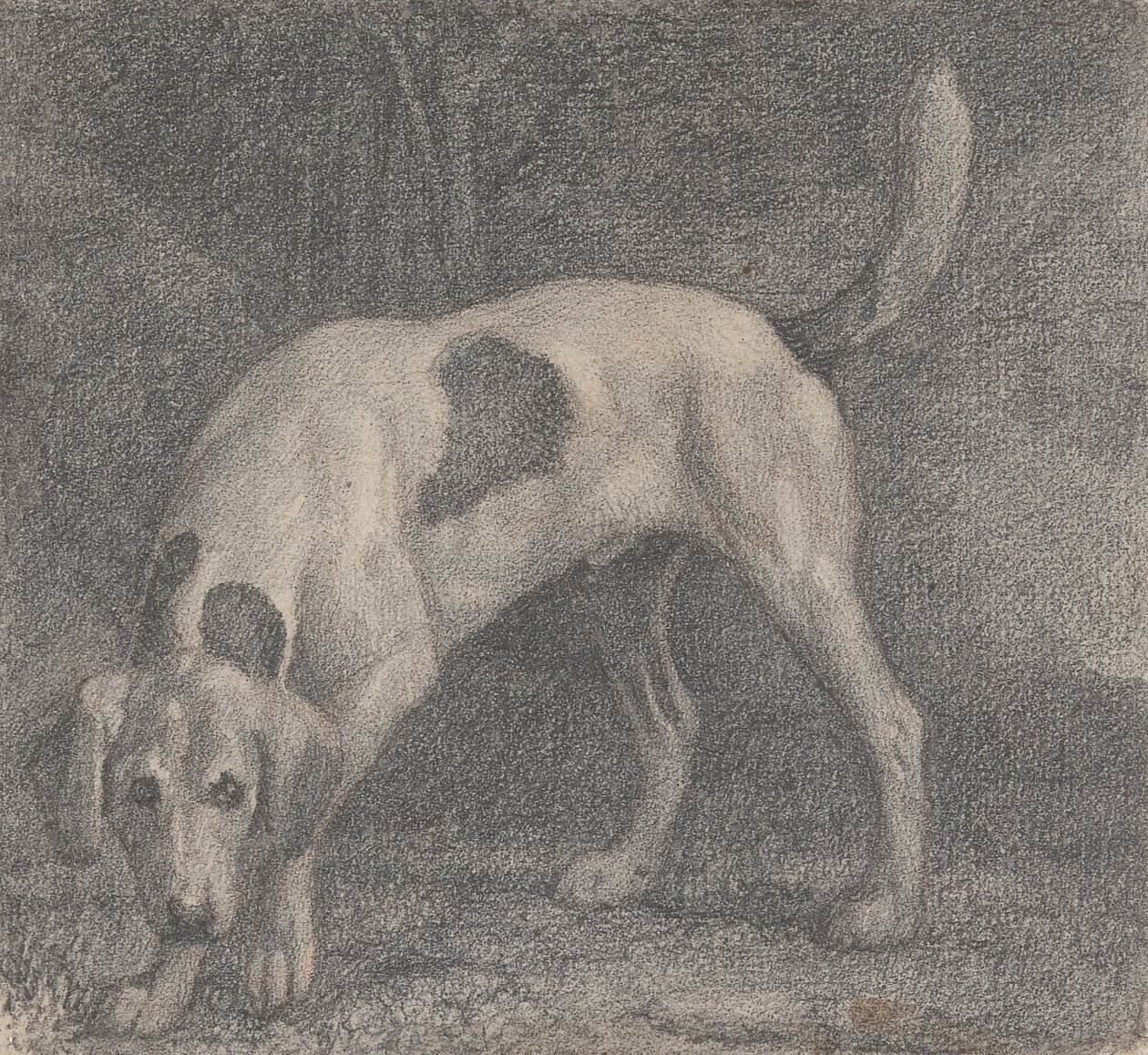 Egy rókakutya az illatban alkotó: George Stubbs