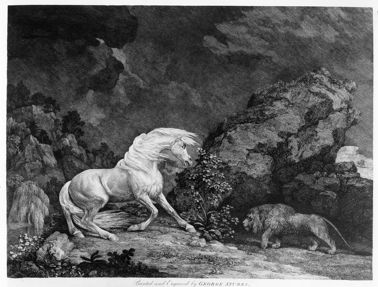 Oroszlántól megrémült ló, a művész által metszett, 1777 alkotó: George Stubbs