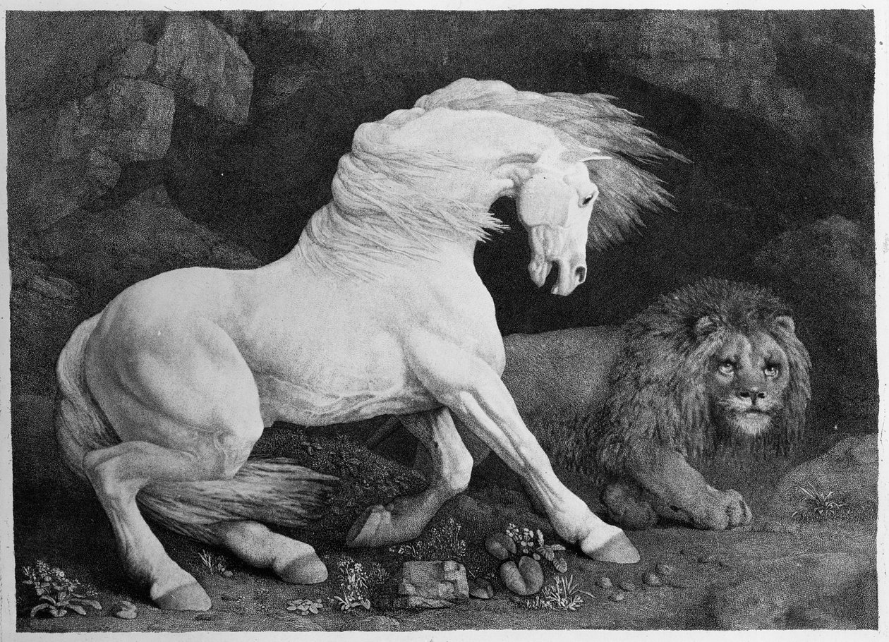 Egy oroszlán által megrémített ló, a művész metszete, 1788 alkotó: George Stubbs