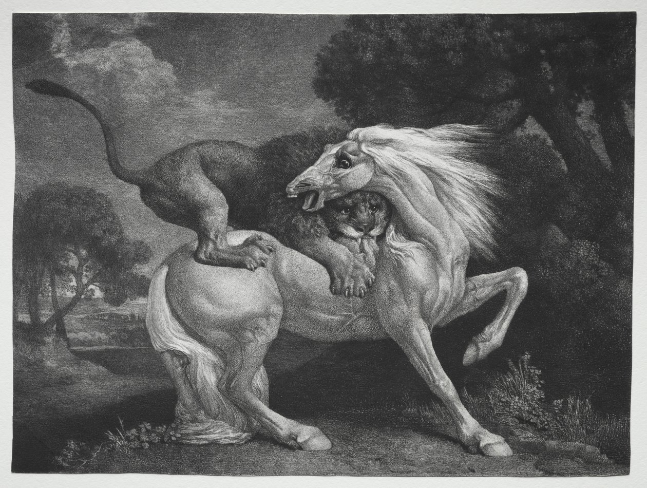 Egy ló megtámadta egy oroszlán alkotó: George Stubbs