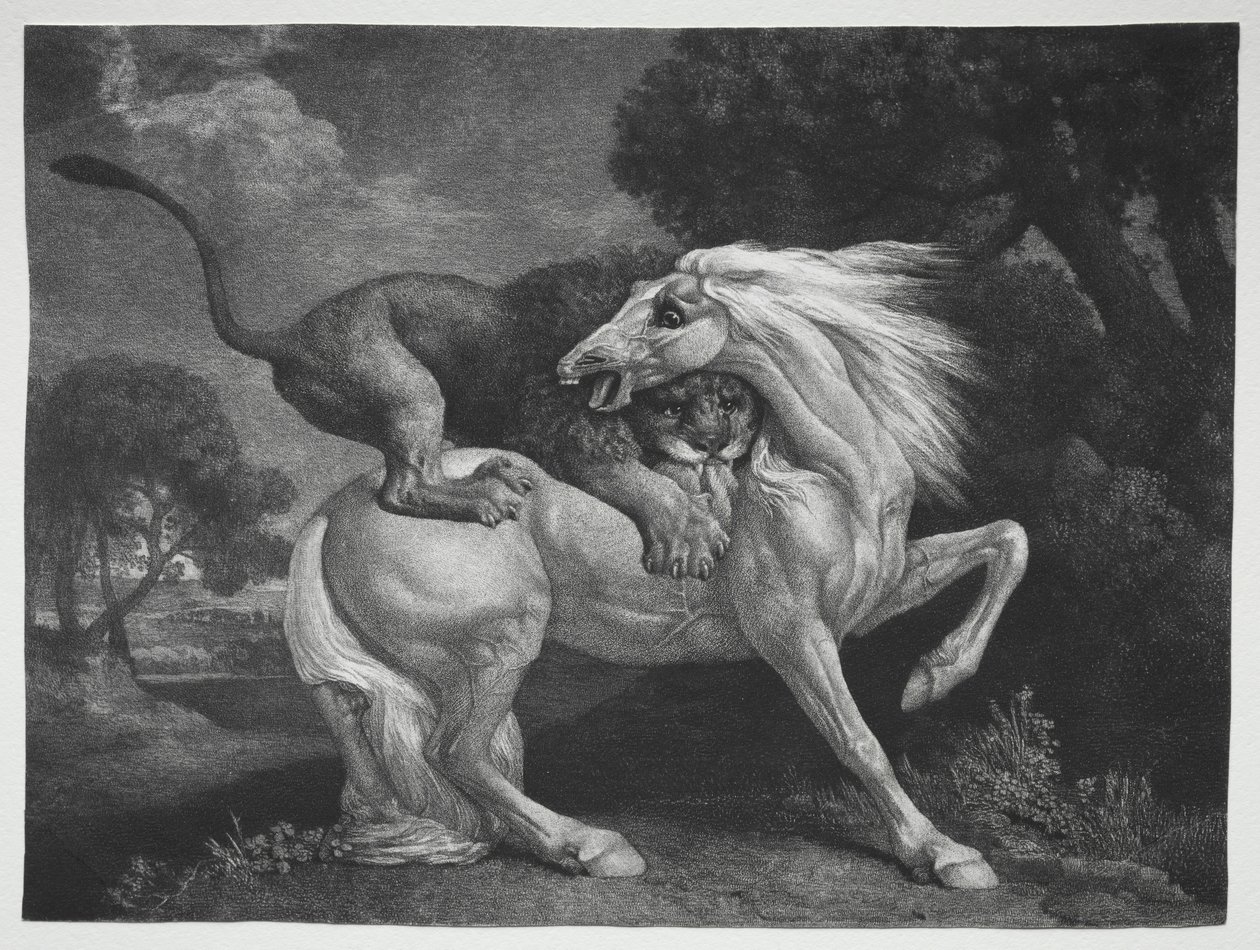 Oroszlán által megtámadt ló, 1788. alkotó: George Stubbs