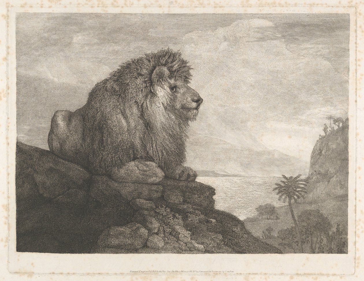 Oroszlán (sziklán pihenő oroszlán) alkotó: George Stubbs
