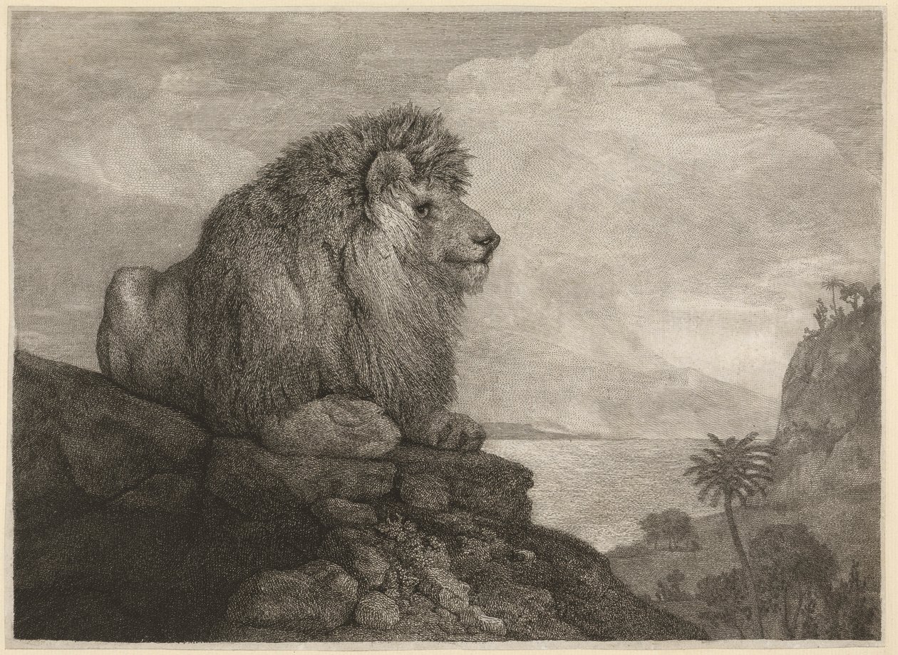 Oroszlán (A Lion Resting on a Rock) a művész által metszett alkotó: George Stubbs