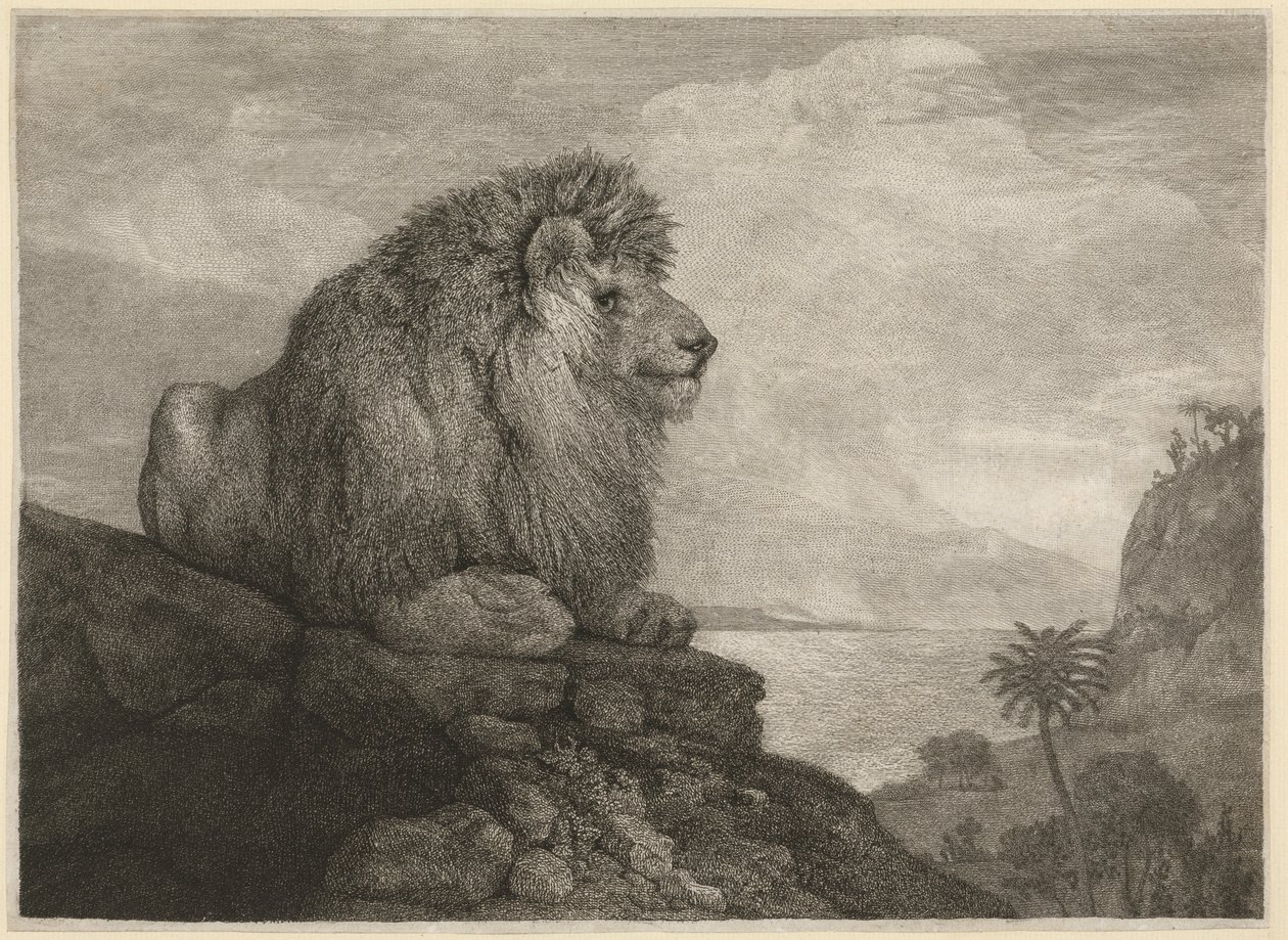 Egy oroszlán [Egy oroszlán pihen egy sziklán] alkotó: George Stubbs