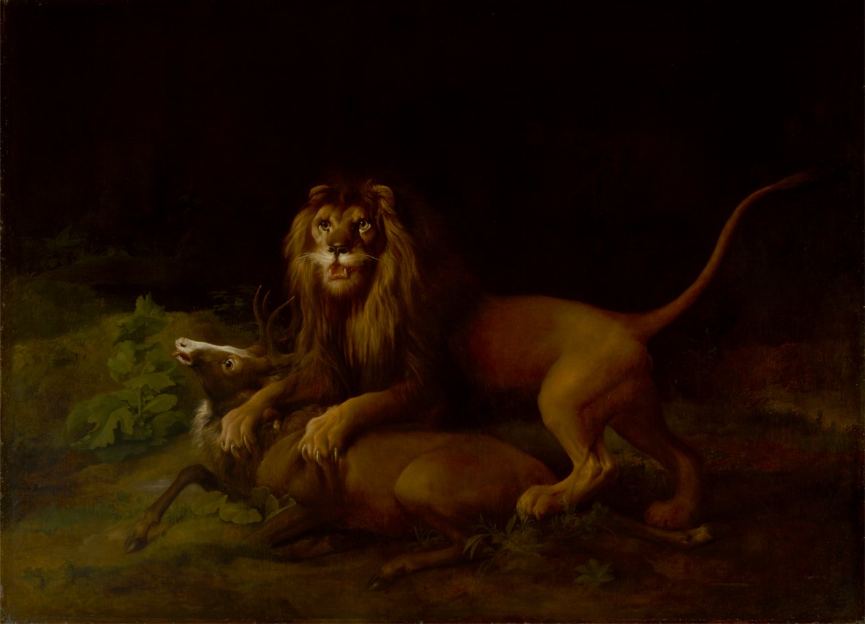 Oroszlán megtámad egy szarvasbikát alkotó: George Stubbs