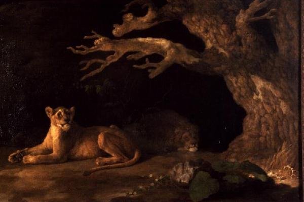 Egy oroszlán és egy oroszlán alkotó: George Stubbs