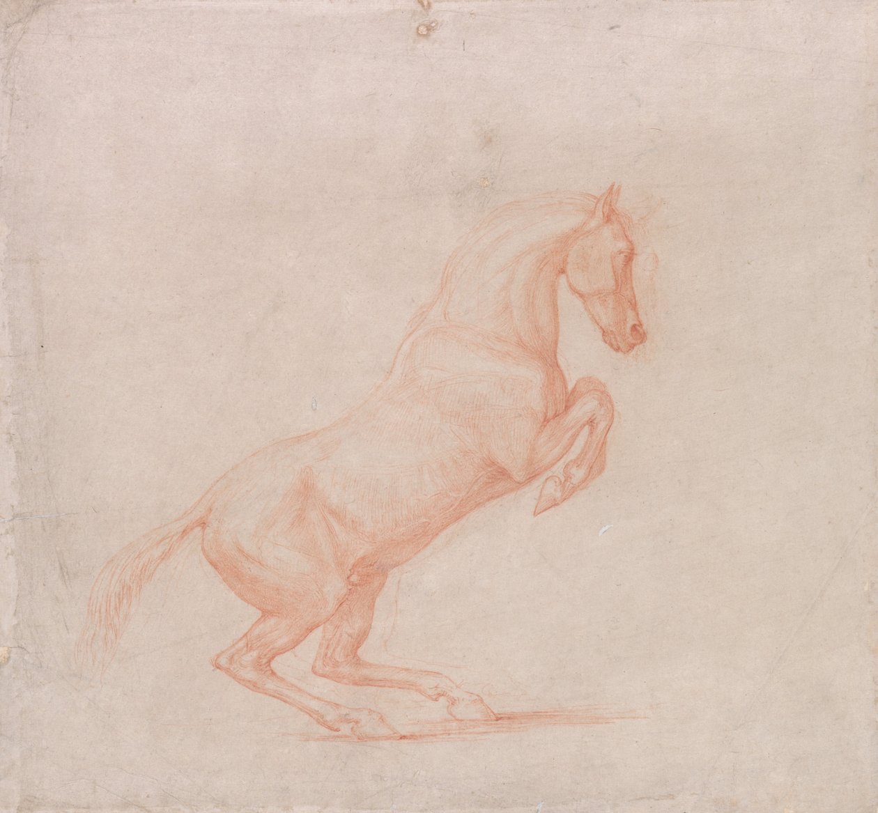 Egy ágaskodó ló, jobbra néző alkotó: George Stubbs