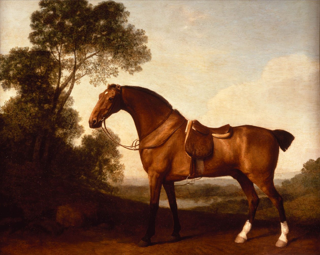 Egy nyerges öbölbeli vadász alkotó: George Stubbs