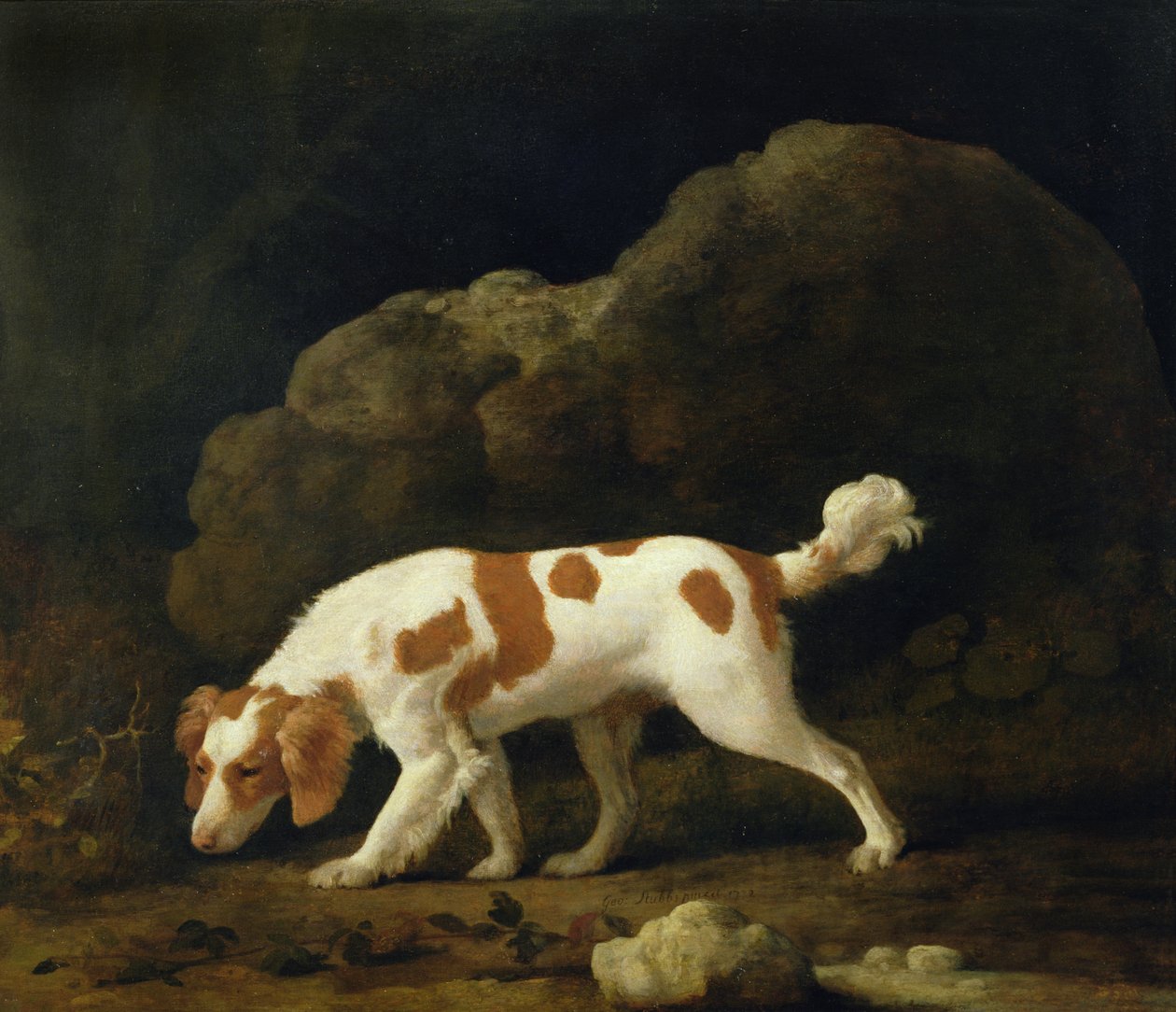 Spániel (olaj, vászon) (a párhoz lásd a 266116-os számot) alkotó: George Stubbs