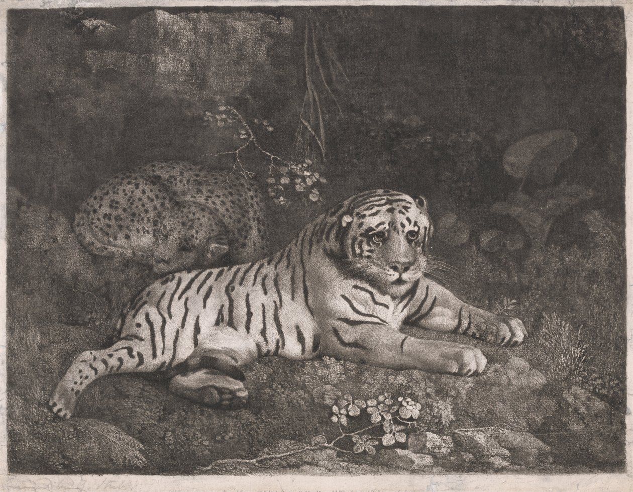 Egy tigris és egy alvó leopárd alkotó: George Stubbs