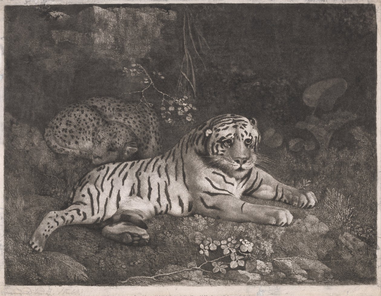Egy tigris és egy alvó leopárd alkotó: George Stubbs