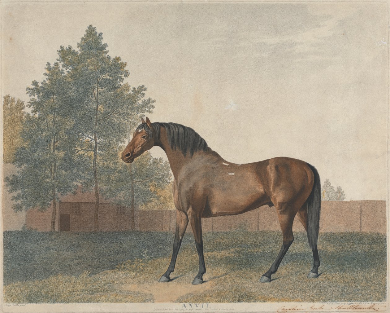 "Üllő" alkotó: George Stubbs