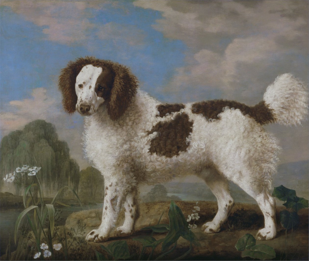 Barna és fehér Norfolk vagy vízi spániel alkotó: George Stubbs