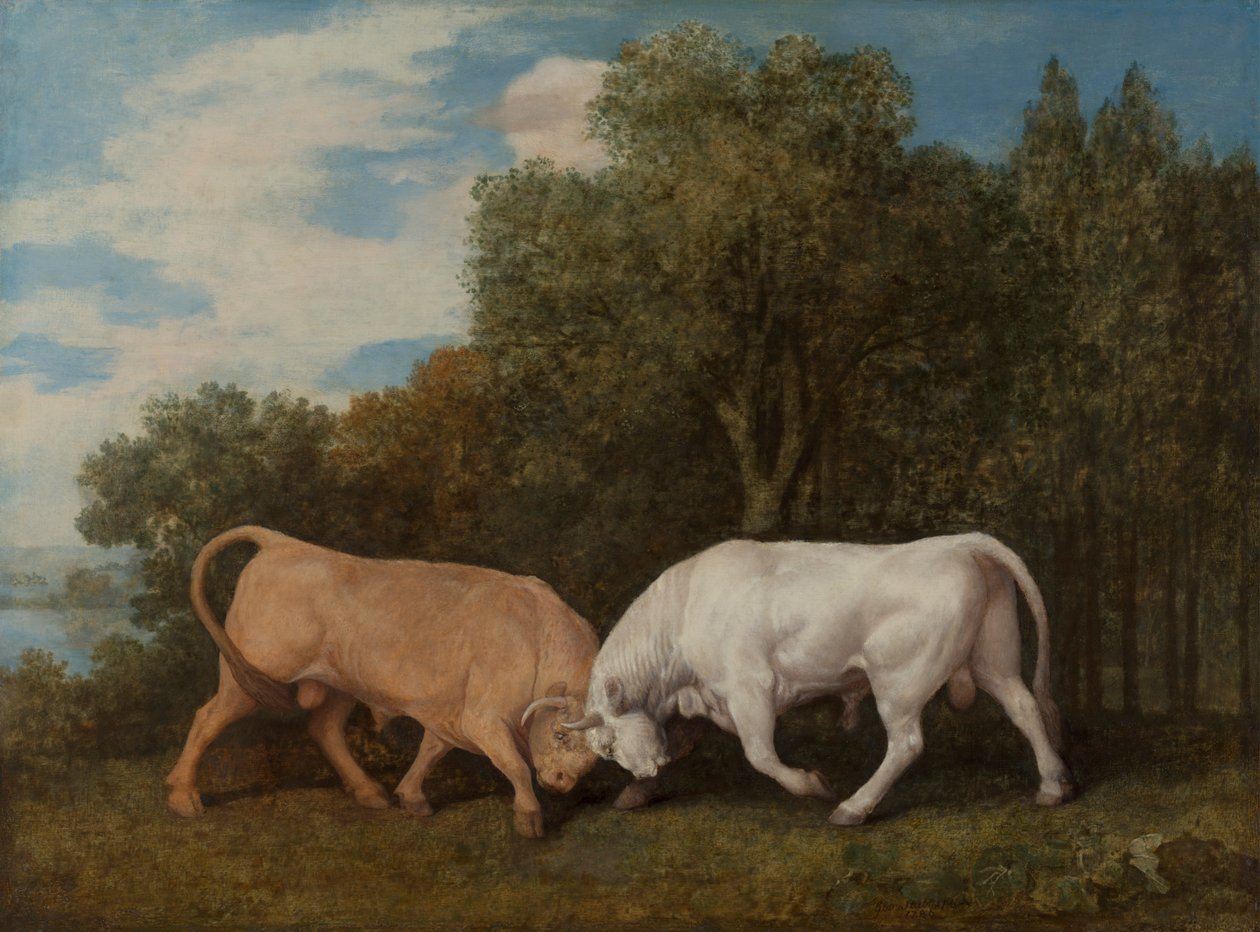 Bulls Fighting alkotó: George Stubbs