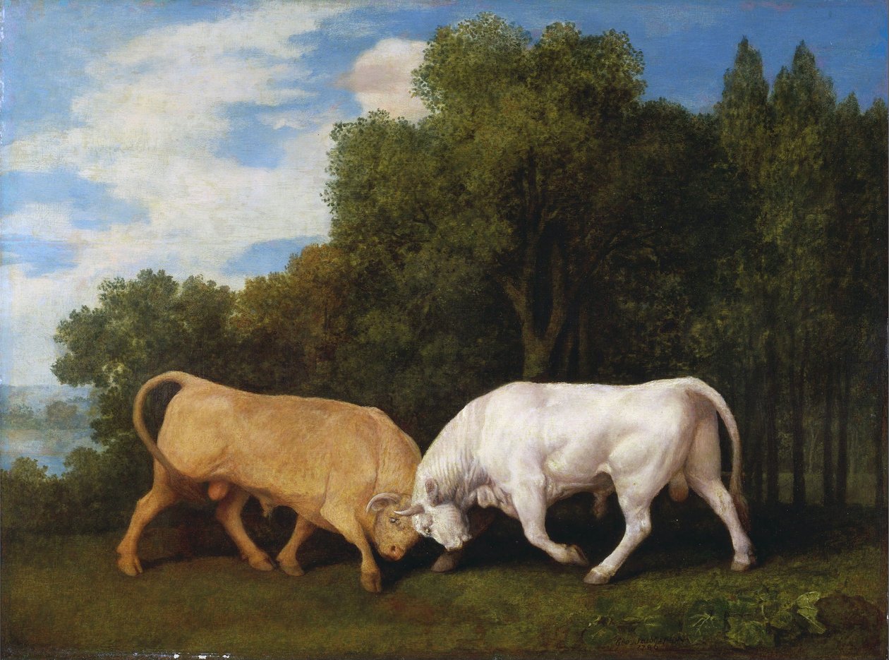 Bulls Fighting alkotó: George Stubbs