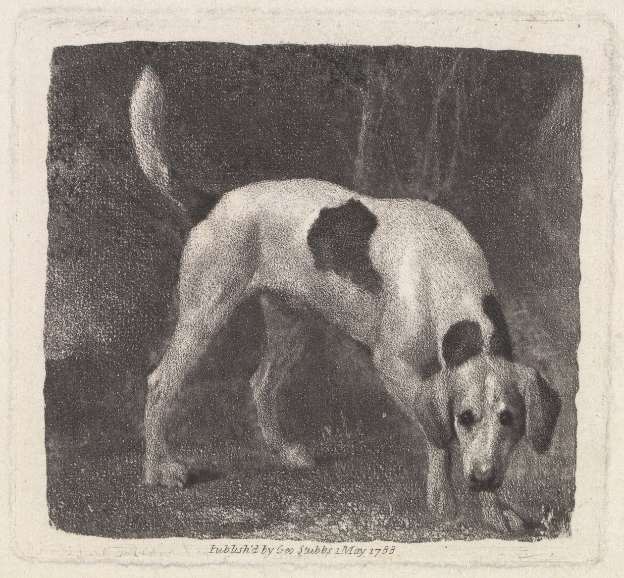 Kutya [Rókakutya az illaton] alkotó: George Stubbs