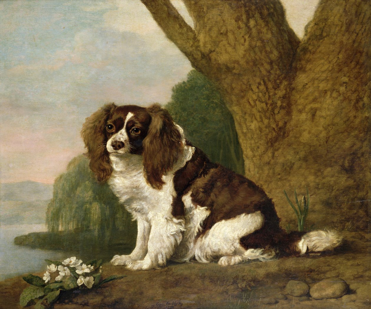 Fanny, egy barna-fehér spániel alkotó: George Stubbs