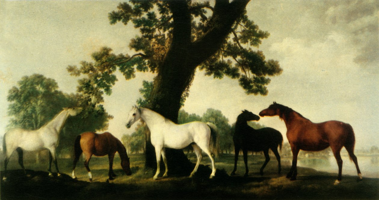 "Öt kanca a Duke of Cumberland ménesében a Windsor Great Parkban", 1765, 1944. alkotó: George Stubbs