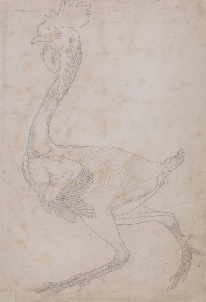 Tyúk teste, oldalnézet (valószínűleg előkészítve a tányérra a kulcsfigura X. táblázathoz való gravírozásához) alkotó: George Stubbs