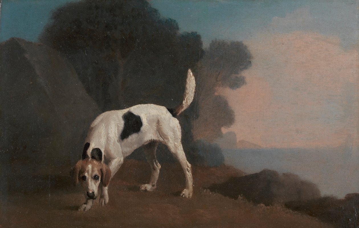Kopó alkotó: George Stubbs