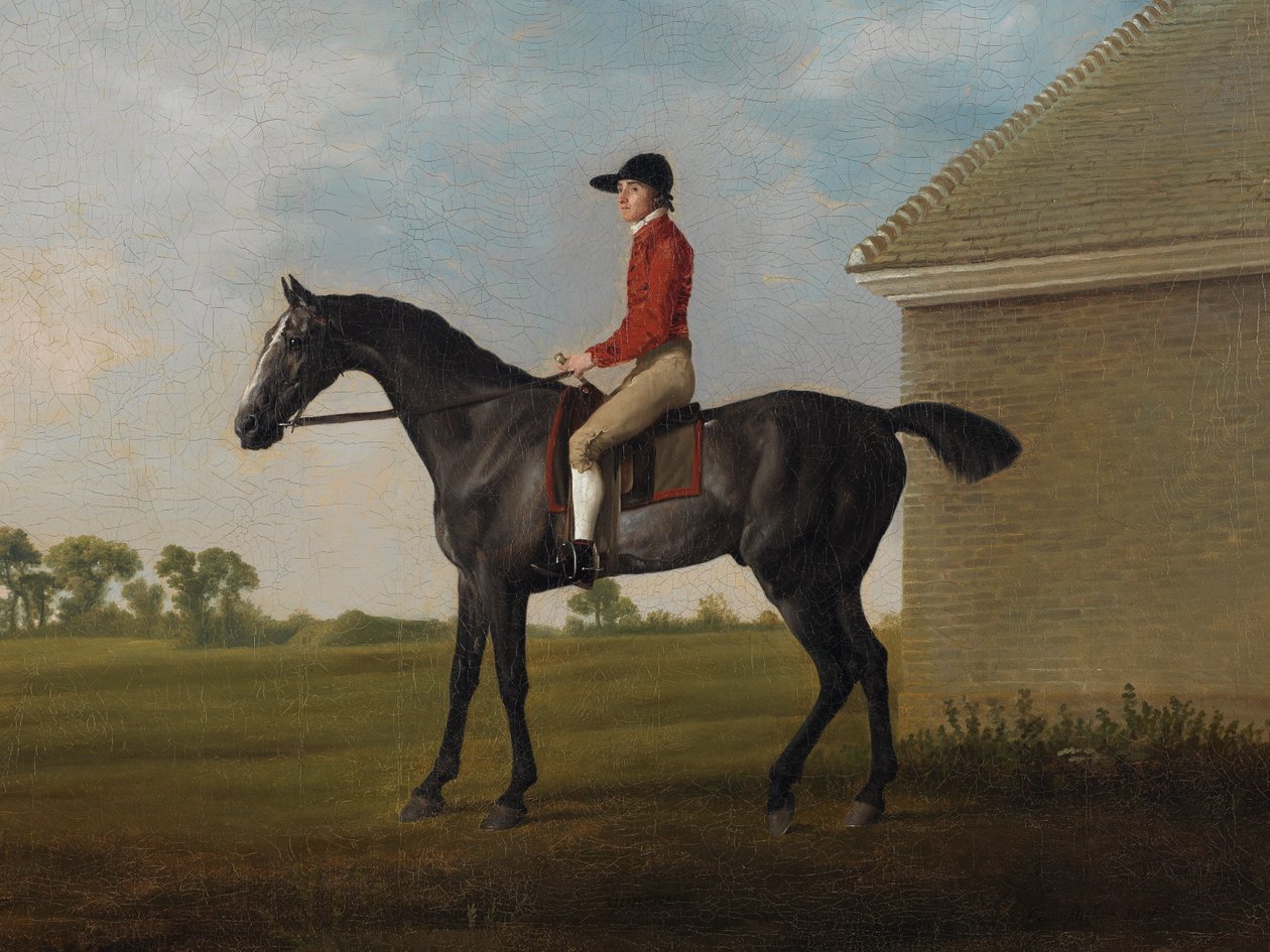 Gimcrack, John Pratttal, a Newmarket Heath-en, 1795 alkotó: George Stubbs