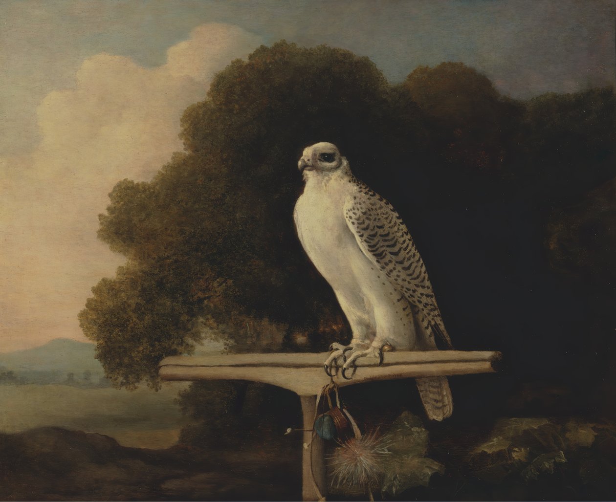 Grönlandi sólyom, Gyr Falcon, 1780. alkotó: George Stubbs