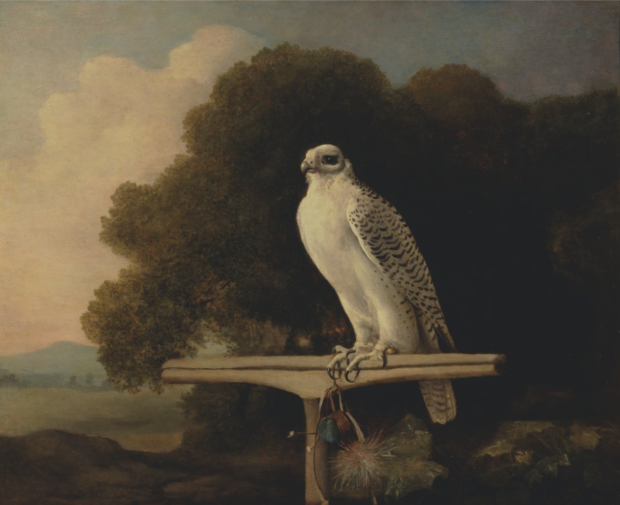 Grönlandi sólyom alkotó: George Stubbs