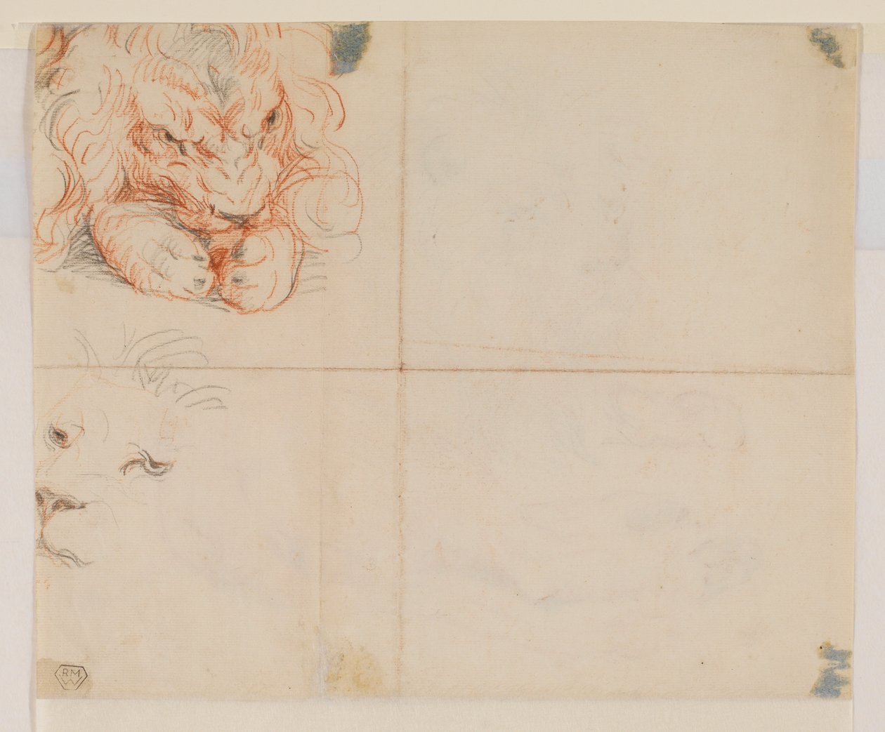 Oroszlán feje és mancsai, verso, 18. vagy 19. század alkotó: George Stubbs