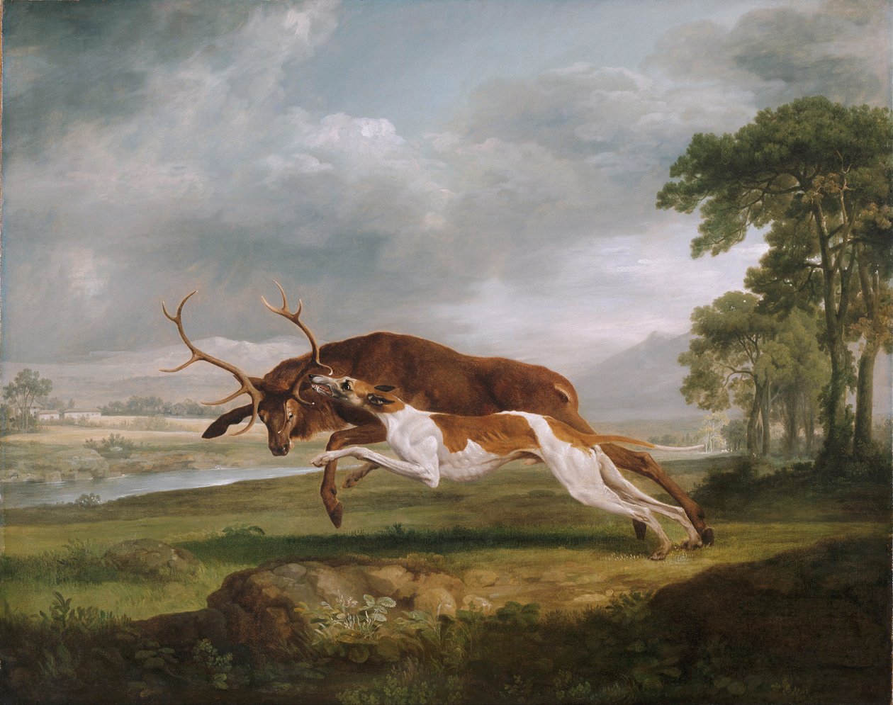 Egy szarvast üldöző kutya alkotó: George Stubbs