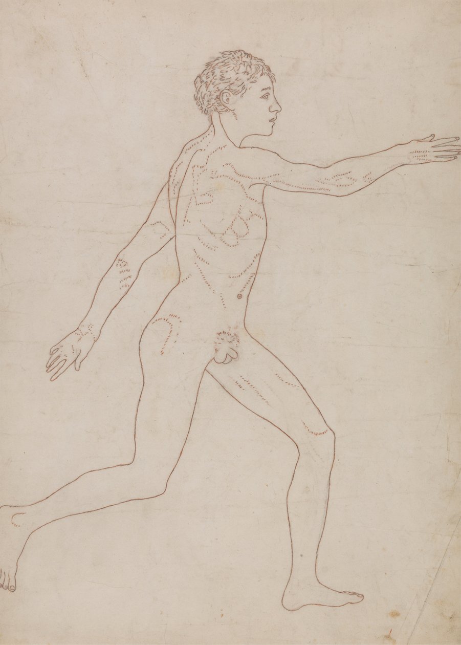 Emberalak, oldalnézet (Vázlatos tanulmány a VIII. táblázat hátoldalán) alkotó: George Stubbs