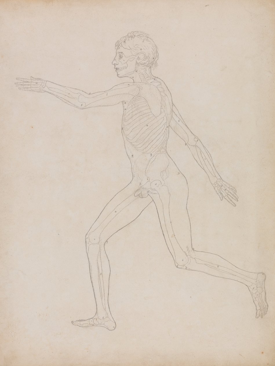 Emberalak, Oldalnézet alkotó: George Stubbs