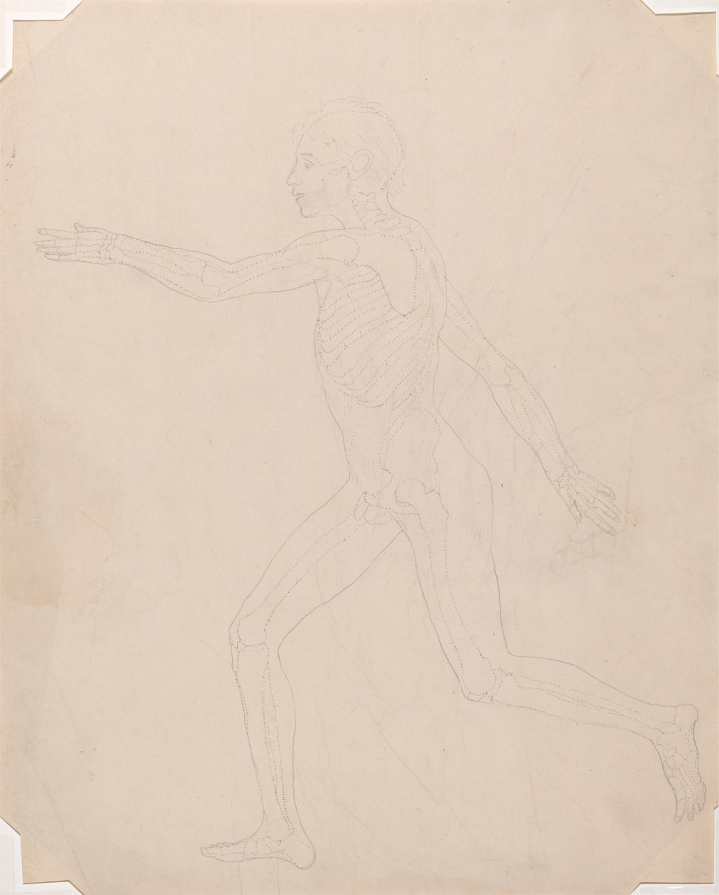 Emberalak, Oldalnézet alkotó: George Stubbs