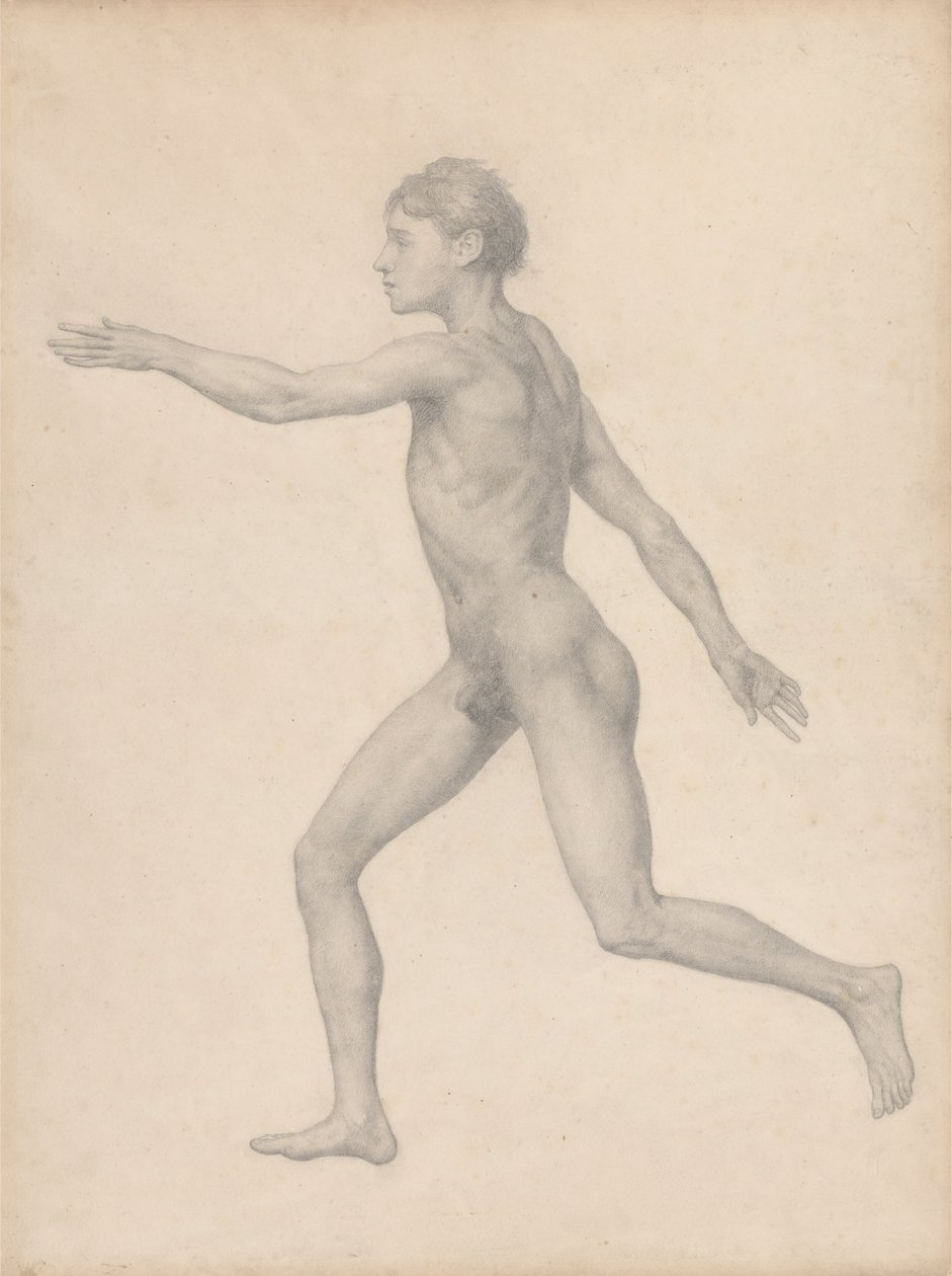 Emberalak, oldalnézet, felbontatlan (Befejezett vizsgálat a VIII. táblázathoz) alkotó: George Stubbs