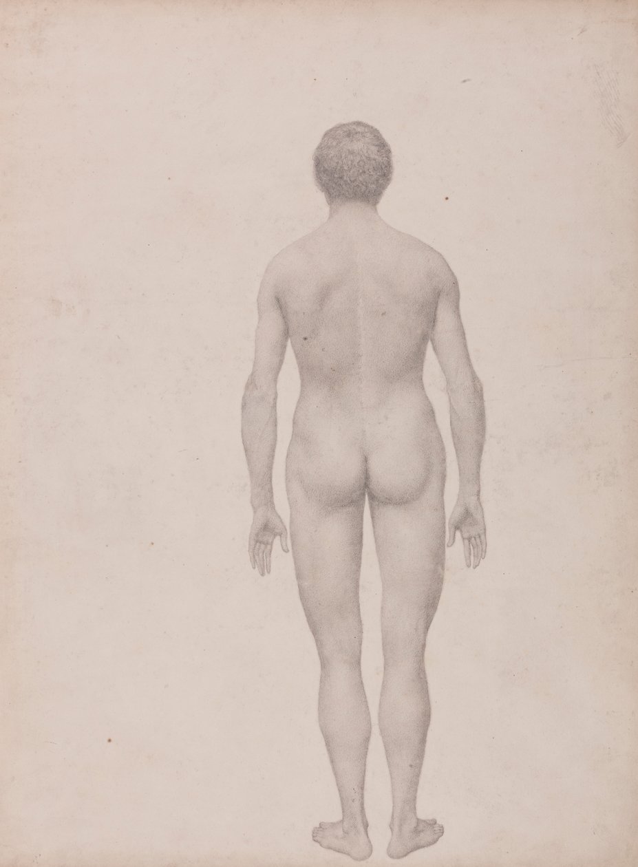 Emberi alak, hátulnézet, feldarabolatlan (Befejezett vizsgálat a VII. táblázathoz) alkotó: George Stubbs