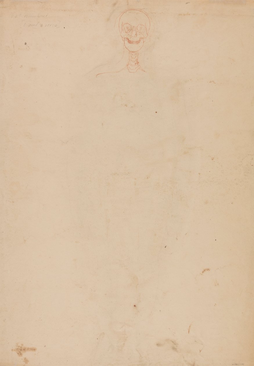 Emberi csontváz, elölnézet alkotó: George Stubbs