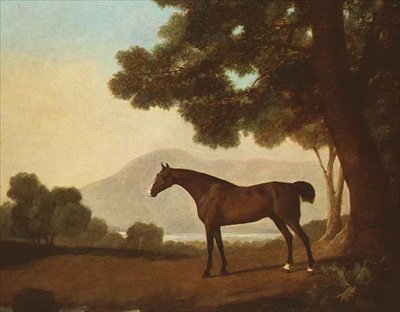 "Johnny", egy öbölbeli mén erdős tájon alkotó: George Stubbs