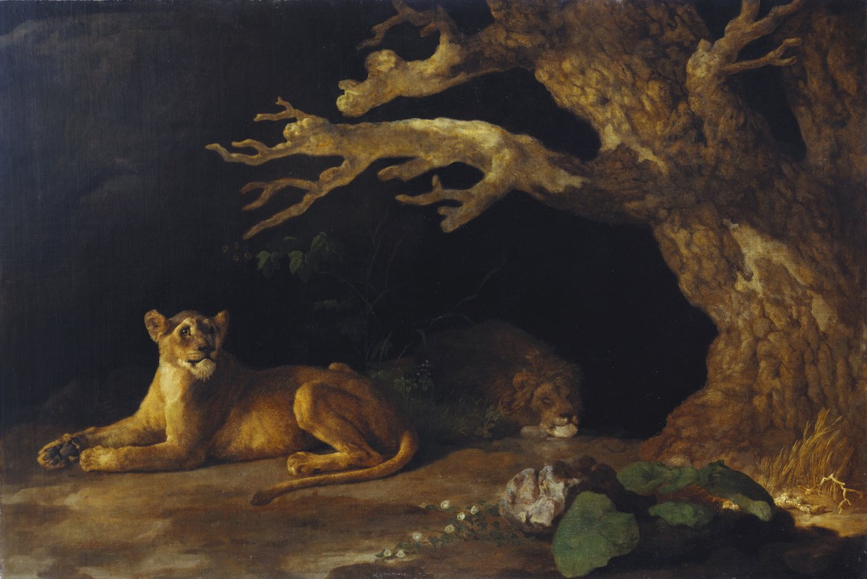 Oroszlán és barlang alkotó: George Stubbs