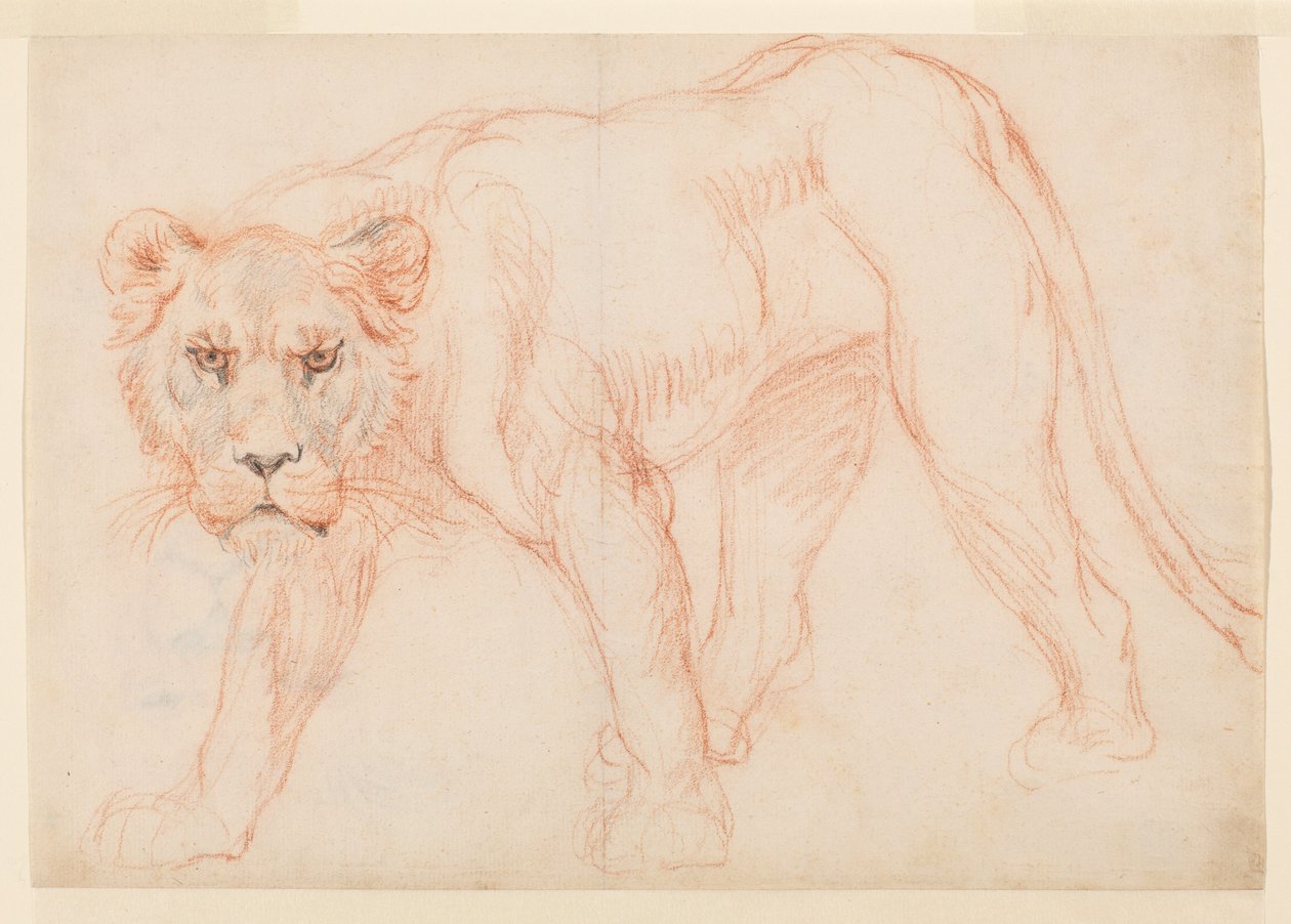 Oroszlánlopó, recto, 18. vagy 19. század alkotó: George Stubbs