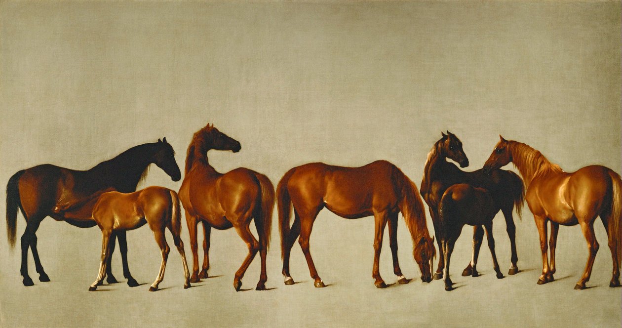Kancák és csikók (olaj, vászon) alkotó: George Stubbs
