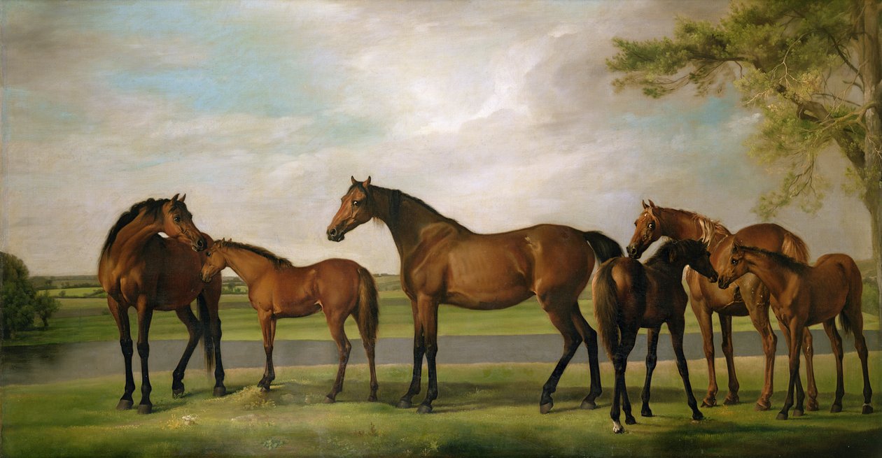 A közeledő vihar által megzavart kancák és csikók, 1764-66 alkotó: George Stubbs