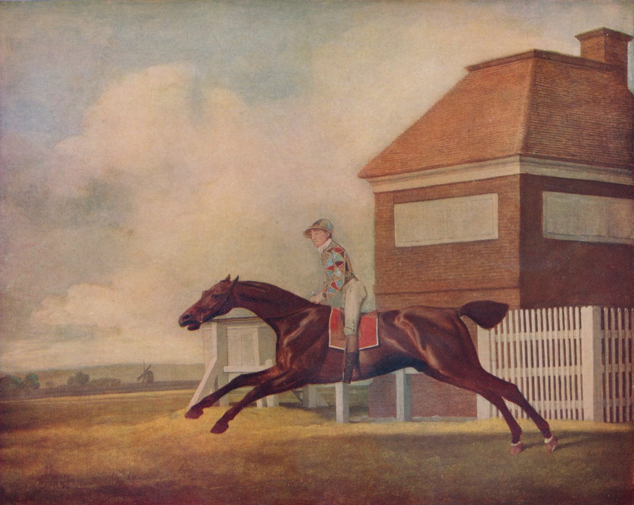 Mr. Ogilvys Bay Racehorse Trentham a Newmarketben Jockey-val felfelé, 1771 alkotó: George Stubbs