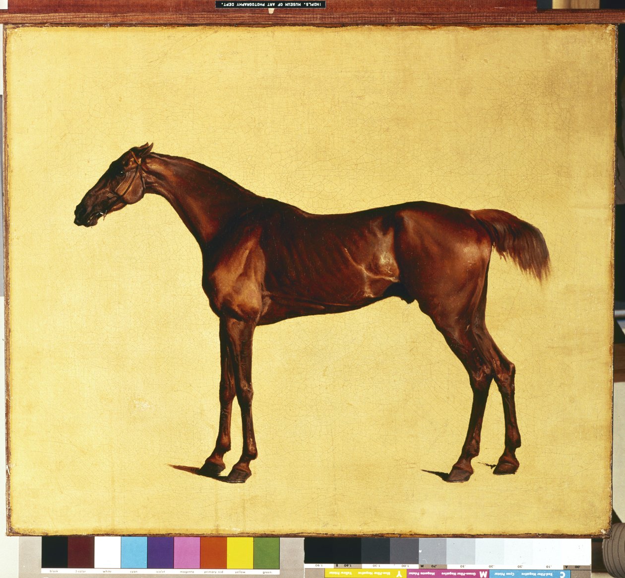 Pangloss (olaj, vászon) alkotó: George Stubbs