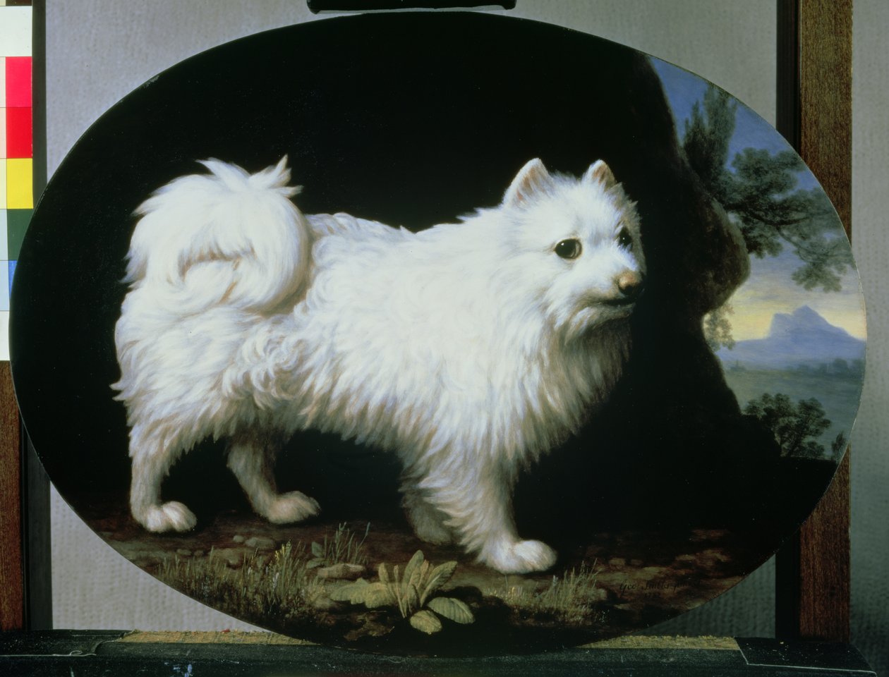 Mrs. French fehér öles kutyájának portréja, 1782 alkotó: George Stubbs