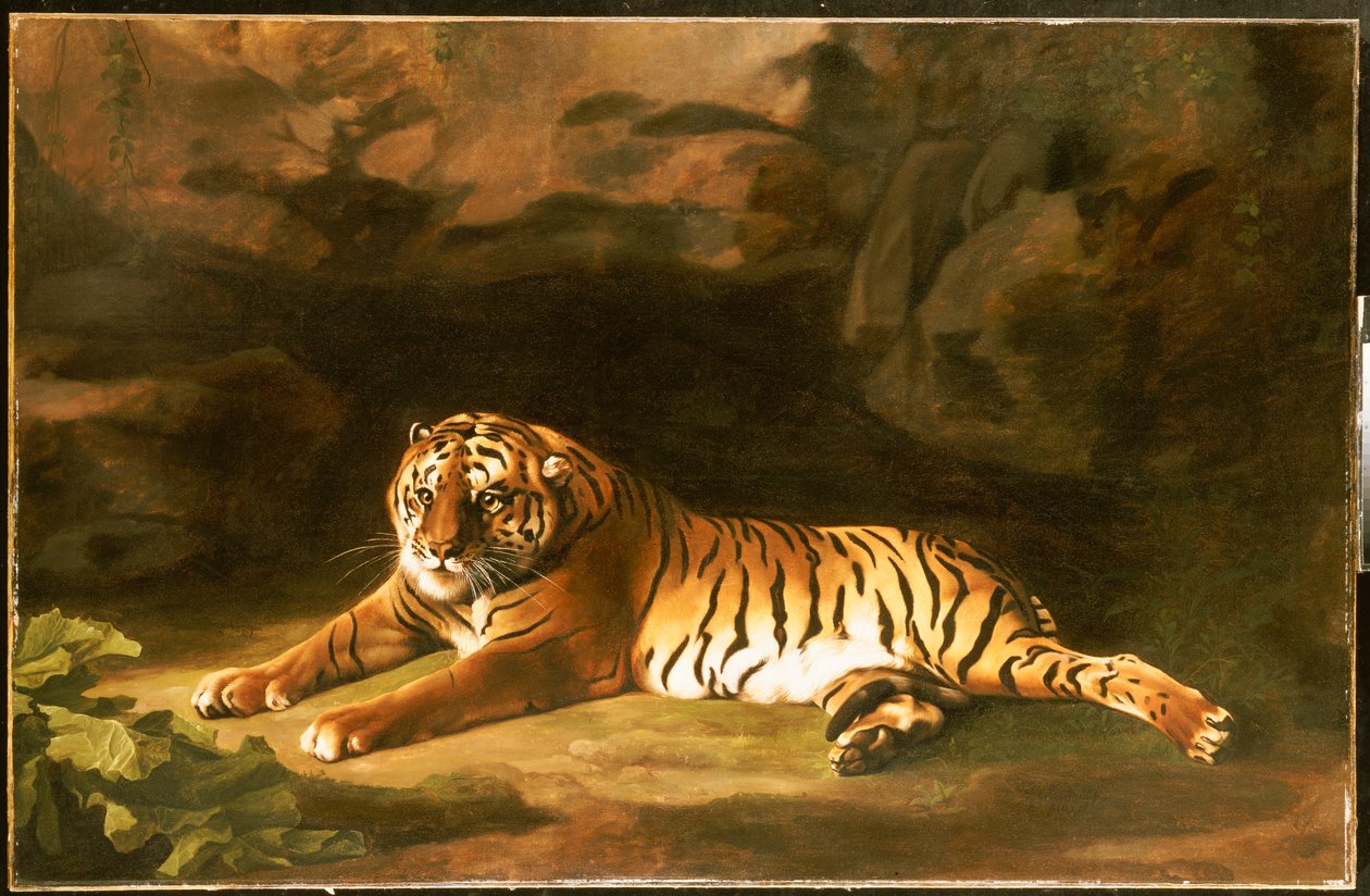 A királytigris portréja, 1770 körül alkotó: George Stubbs