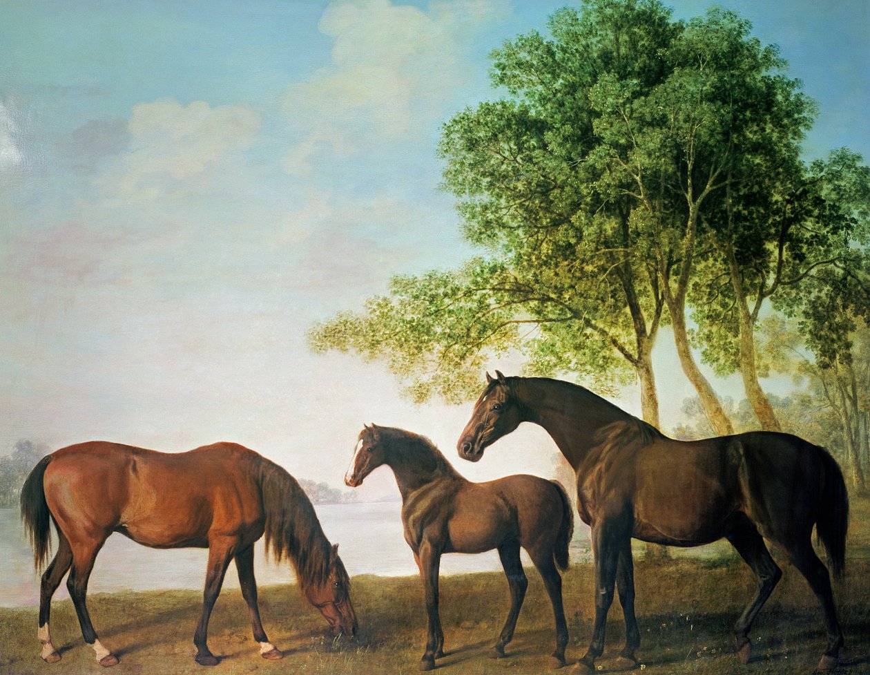 Shafto Mares és egy csikó alkotó: George Stubbs